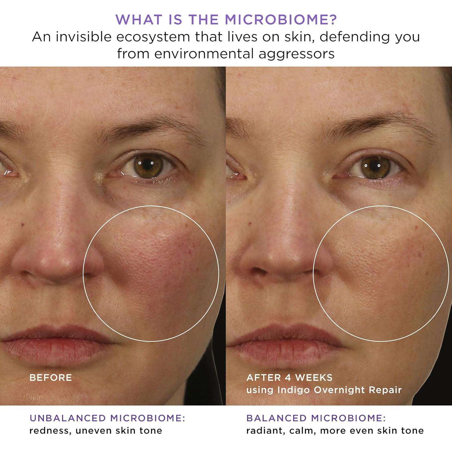 imageTATCHA Indigo Overnight Repair  Face Cream ampamp Serum Treatment Fragrance Free Night Cream 50 ml  17 oz