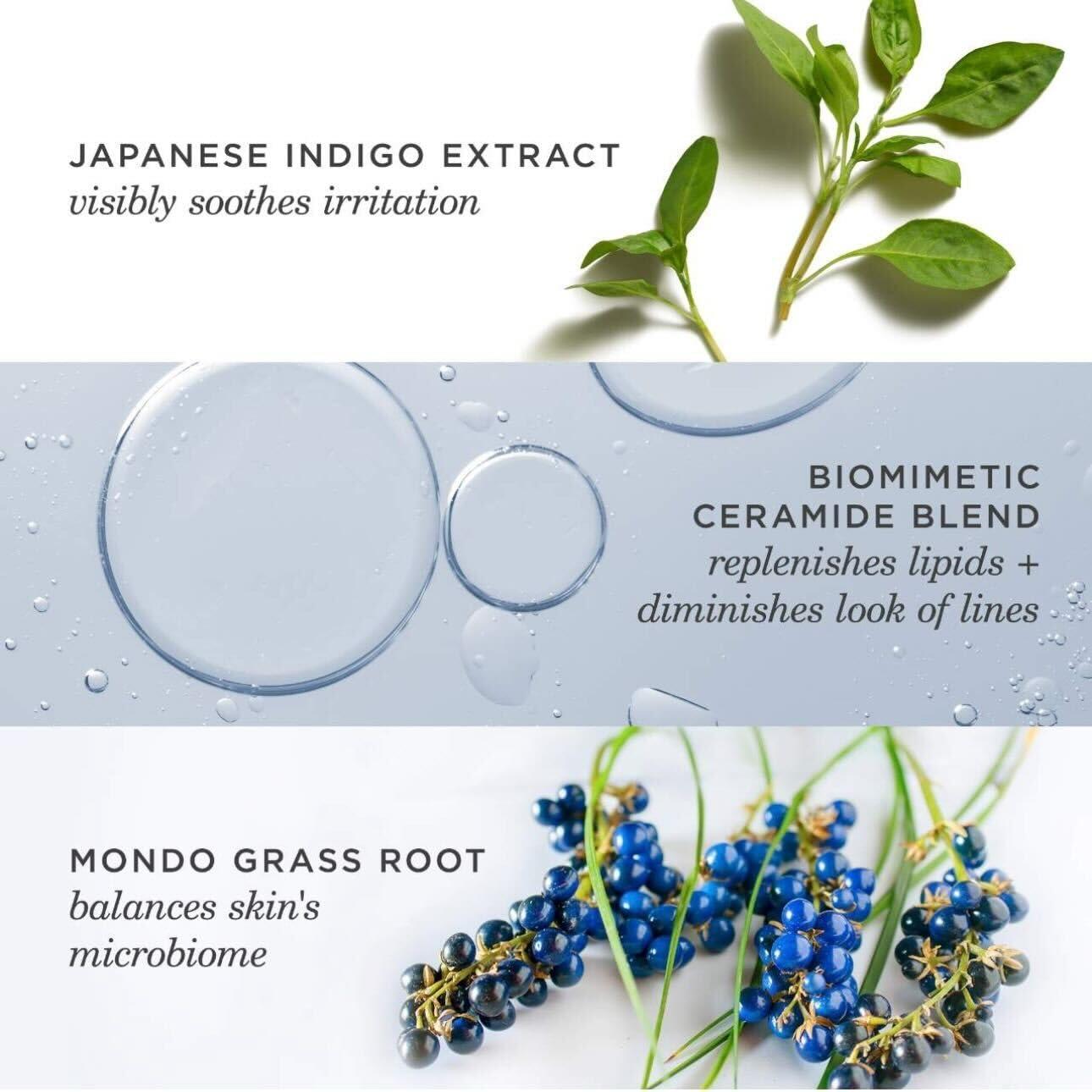 imageTATCHA Indigo Overnight Repair  Face Cream ampamp Serum Treatment Fragrance Free Night Cream 50 ml  17 oz